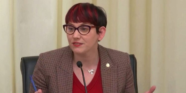 Minnesota Democrat argues for menstrual products in boys’ bathrooms: ‘Not all who menstruate are female’