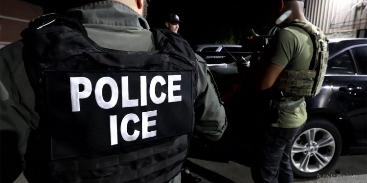 ICE releases nearly 3,000 detained immigrants affected by accidental data leak