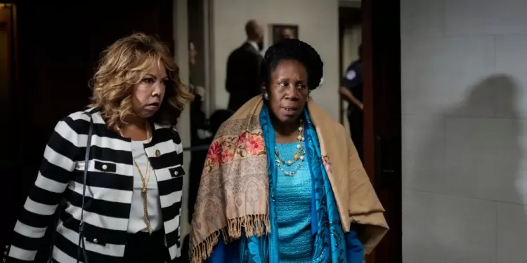 Rep. Sheila Jackson Lee introduces bill criminalizing some forms of ‘hate speech’