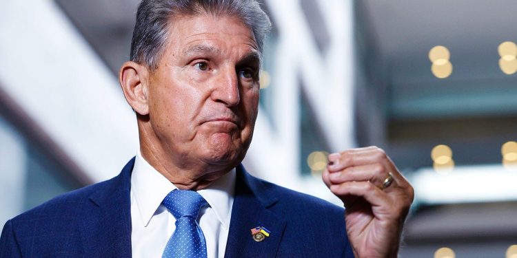 These 4 senators are the most likely to lose their seats in 2024