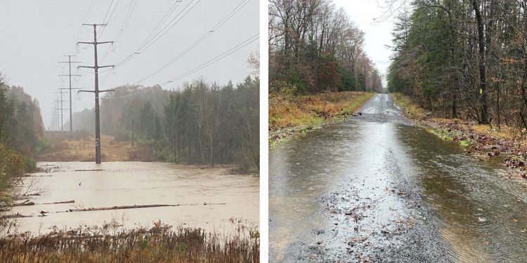 Virginia residents reject massive solar farm plan for third time over environmental concerns