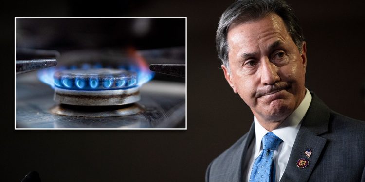 Biden admin torched by Rep. Gary Palmer over potential gas stove ban: ‘Desire to control American’s lives’