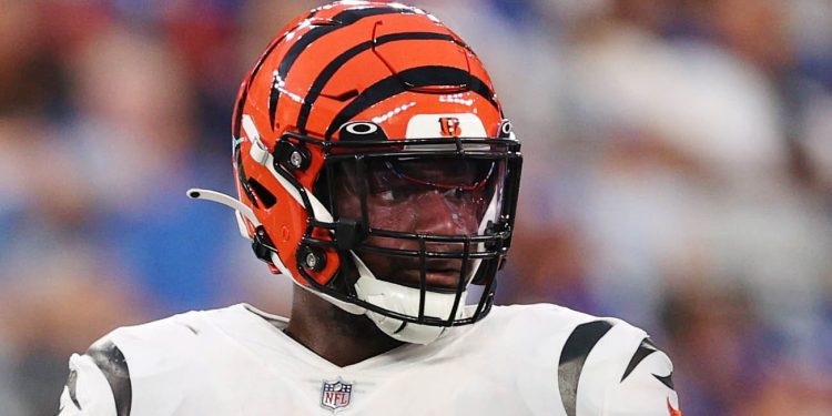 Chiefs fan mocks Bengals’ loss on the House floor: ‘The Bungles’