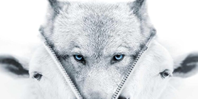 Google Gemini invented fake reviews smearing my book about Big Tech’s political biases