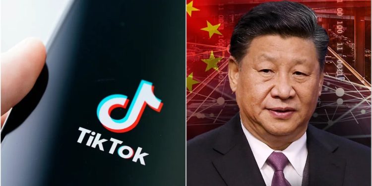 Expert warns of ‘chilling reality’ TikTok threat poses: ‘China’s greatest asymmetric advantage’
