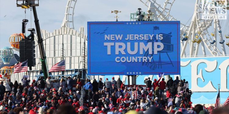 Here’s why shy Trump voters feel safe going public