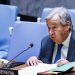UN prepping for spending cuts as DOGE roots out waste in US, internal docs show