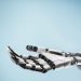 AI that can match humans at any task will be here in five to 10 years, Google DeepMind CEO says
