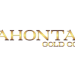 Lahontan Revamps Board Of Directors