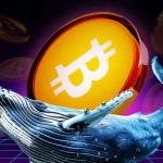 Whales Buy, Retail Sells: 83K BTC Scooped Up Ahead of Bitcoin Volume Surge