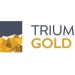 Triumph Gold Updates Shareholders on Operations, Engages Market Maker, and Grants Options