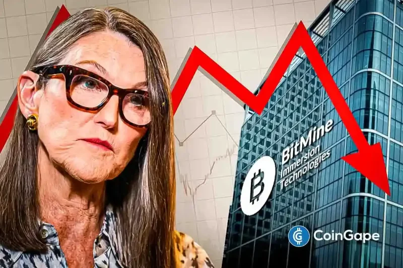 Cathie Wood’s Ark Invest Buy Bitmine (BMNR) Stock Dips on Solid ETH Treasury Plan