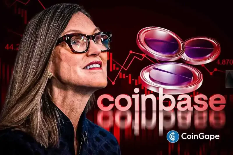 Cathie Wood Buys the Dips As COIN Stock Crashes 16% Following Weak Q2 Report