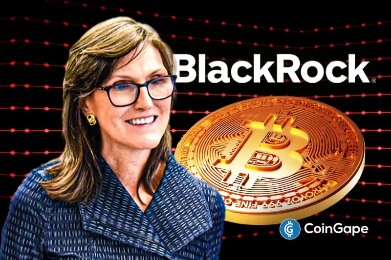 Cathie Wood’s Ark And BlackRock Dump Bitcoin as Veteran Trader Predicts BTC Price Crash