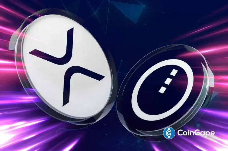 XRP NIGHT Token Airdrop: Snapshot, Claim Date and What to Expect?