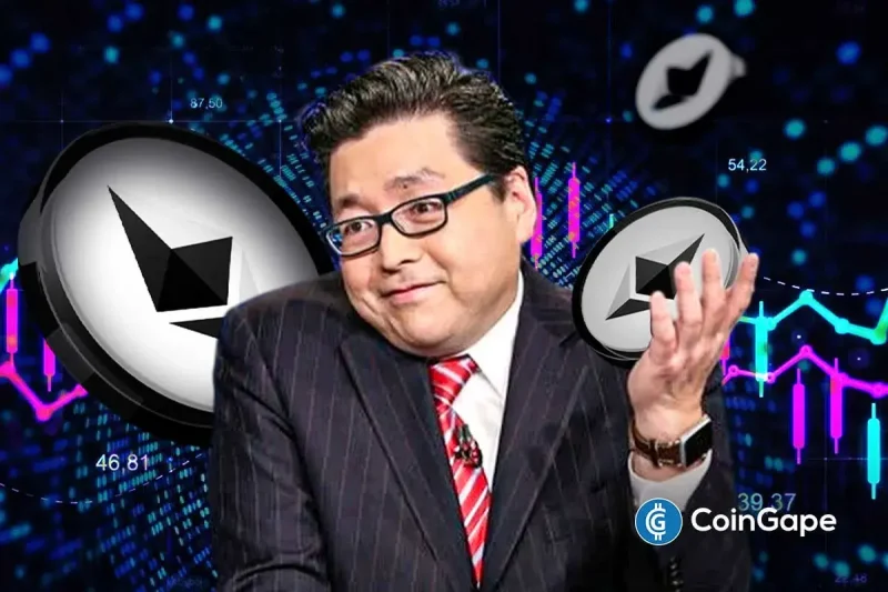 Breaking: Tom Lee’s BitMine Adds $800M ETH to Ethereum Treasury Amid Price Dip