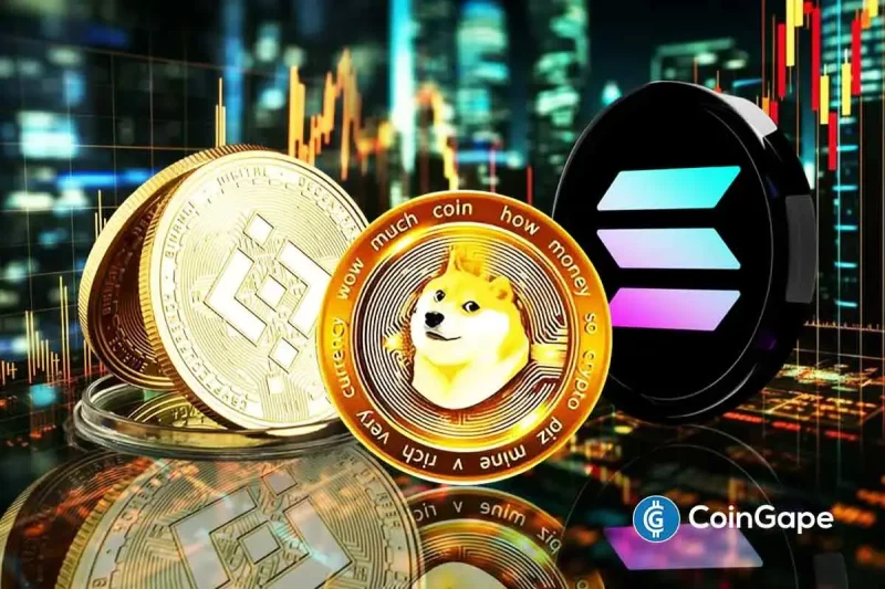 Crypto Market Update: Why is SOL, BNB, DOGE Price Soaring High Today?