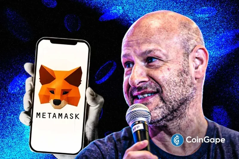 MetaMask Token to Launch Sooner After mUSD Stablecoin: Consensys CEO Joe Lubin