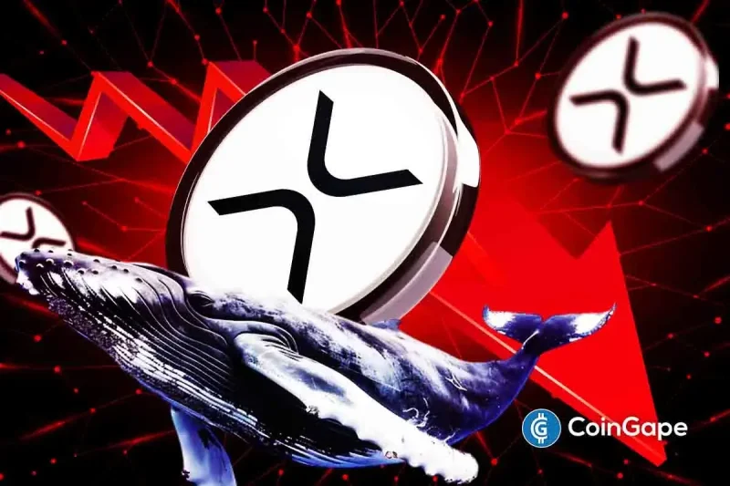XRP Whales Dump 40M Coins Despite ETF Anticipation, Here’s Why
