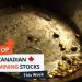 Top 5 Canadian Mining Stocks This Week: Guardian Exploration Gains 94 Percent