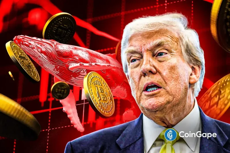 “Trump Insider Whale” Opens $127M Short on Bitcoin Ahead of Trump’s Big Announcement- Is Another Crypto Crash Ahead?