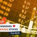 Top 5 Canadian Mining Stocks This Week: JZR Gold Jumps 113 Percent