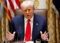 GOP lawmakers warn Trump’s Argentina beef proposal could rattle US ranchers