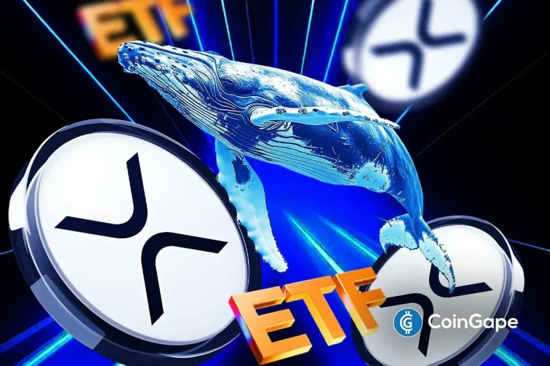 Spot XRP ETF Records First Outflow of Over $40 Million, Here’s Why