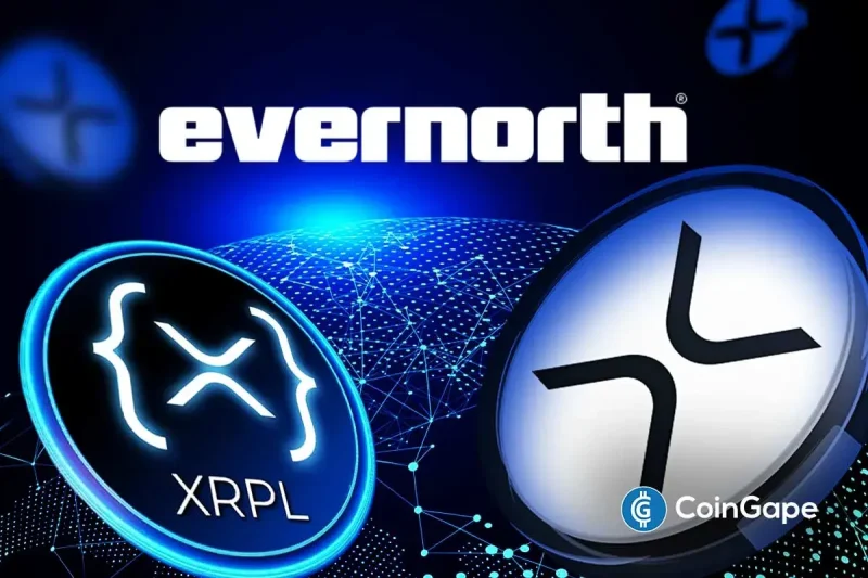 XRP Treasury Evernorth Partners With AI Firm to Boost Holdings Yield on XRPL