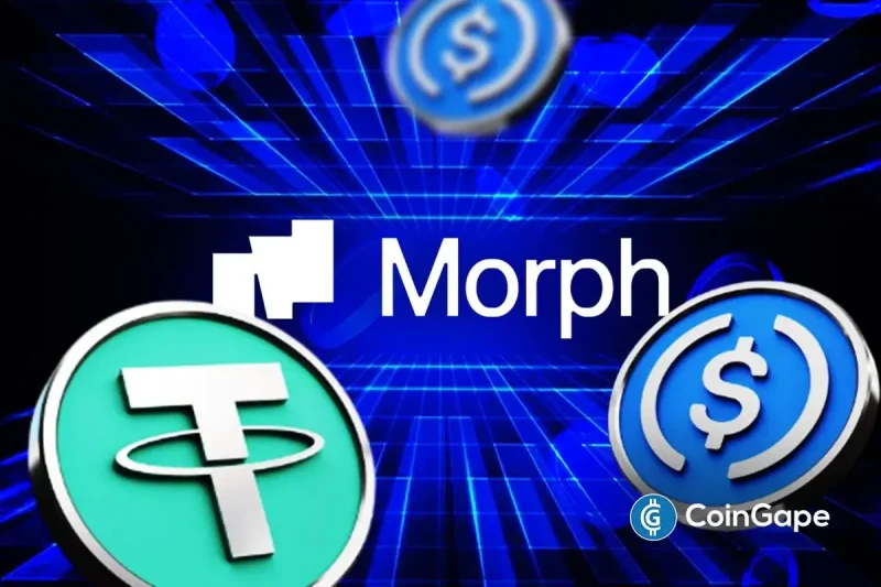 Stablecoins Gain Infrastructure Boost as Morph Backs Startups with $150M
